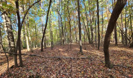 Photo #32 of SOLD property in 2050 Johnson Mill Road, Vernon Hill, VA 97.1 acres