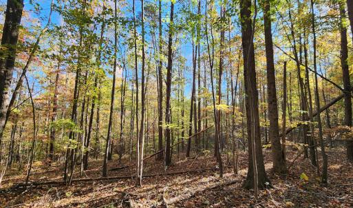 Photo #33 of SOLD property in 2050 Johnson Mill Road, Vernon Hill, VA 97.1 acres