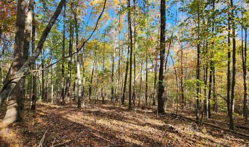 Photo #34 of SOLD property in 2050 Johnson Mill Road, Vernon Hill, VA 97.1 acres