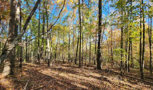 Photo #34 of SOLD property in 2050 Johnson Mill Road, Vernon Hill, VA 97.1 acres