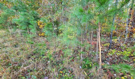 Photo #40 of SOLD property in 2050 Johnson Mill Road, Vernon Hill, VA 97.1 acres
