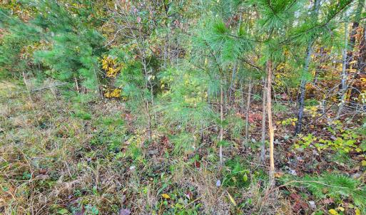 Photo #40 of SOLD property in 2050 Johnson Mill Road, Vernon Hill, VA 97.1 acres