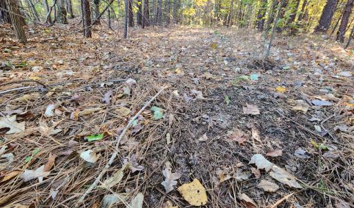 Photo #43 of SOLD property in 2050 Johnson Mill Road, Vernon Hill, VA 97.1 acres