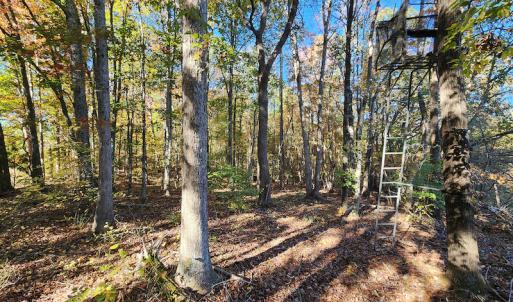 Photo #45 of SOLD property in 2050 Johnson Mill Road, Vernon Hill, VA 97.1 acres