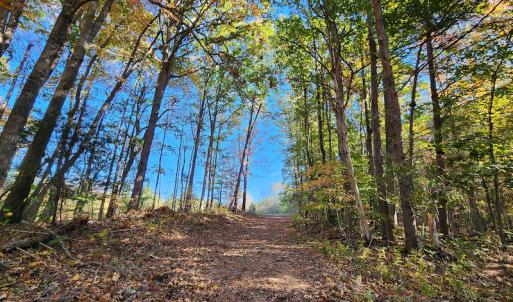 Photo #46 of SOLD property in 2050 Johnson Mill Road, Vernon Hill, VA 97.1 acres