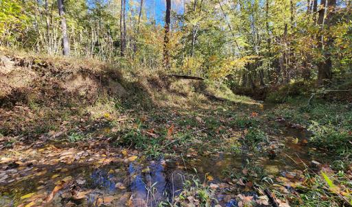 Photo #54 of SOLD property in 2050 Johnson Mill Road, Vernon Hill, VA 97.1 acres