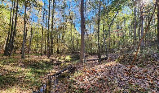 Photo #58 of SOLD property in 2050 Johnson Mill Road, Vernon Hill, VA 97.1 acres