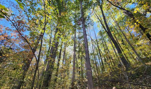 Photo #60 of SOLD property in 2050 Johnson Mill Road, Vernon Hill, VA 97.1 acres