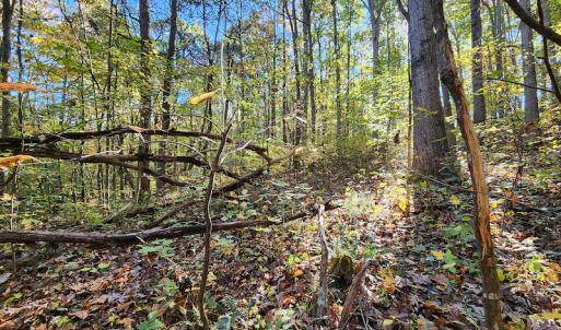 Photo #61 of SOLD property in 2050 Johnson Mill Road, Vernon Hill, VA 97.1 acres