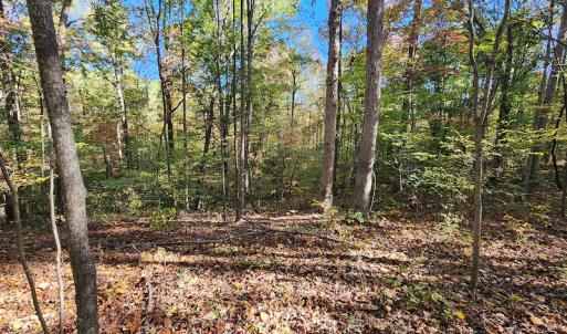 Photo #64 of SOLD property in 2050 Johnson Mill Road, Vernon Hill, VA 97.1 acres