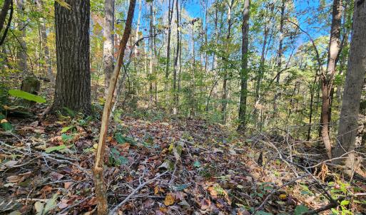 Photo #66 of SOLD property in 2050 Johnson Mill Road, Vernon Hill, VA 97.1 acres