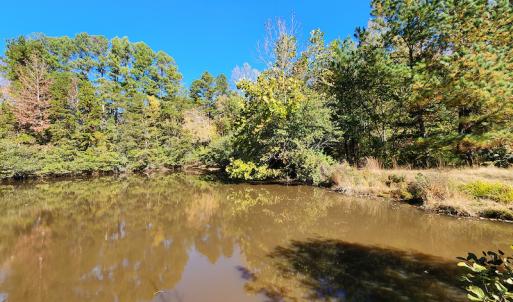 Photo #73 of SOLD property in 2050 Johnson Mill Road, Vernon Hill, VA 97.1 acres