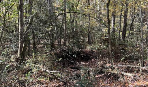Photo #26 of SOLD property in 626 Manning Road, Valentines, VA 27.5 acres