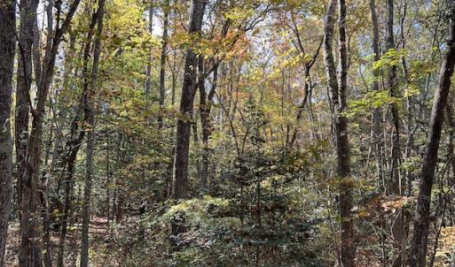 Photo #27 of SOLD property in 626 Manning Road, Valentines, VA 27.5 acres