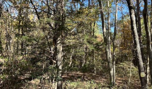 Photo #28 of SOLD property in 626 Manning Road, Valentines, VA 27.5 acres