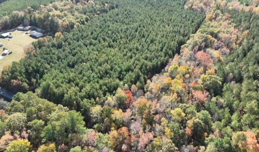 Photo #4 of SOLD property in 626 Manning Road, Valentines, VA 27.5 acres