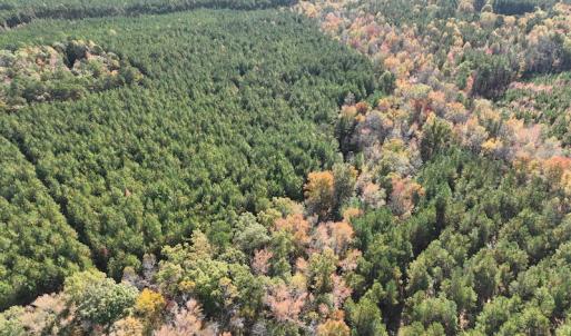 Photo #6 of SOLD property in 626 Manning Road, Valentines, VA 27.5 acres