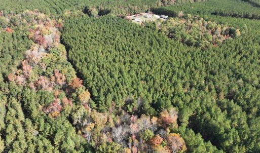 Photo #7 of SOLD property in 626 Manning Road, Valentines, VA 27.5 acres