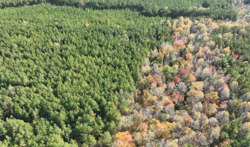 Photo #8 of SOLD property in 626 Manning Road, Valentines, VA 27.5 acres