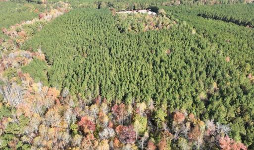 Photo #10 of SOLD property in 626 Manning Road, Valentines, VA 27.5 acres