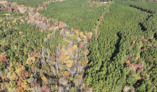 Photo #11 of SOLD property in 626 Manning Road, Valentines, VA 27.5 acres