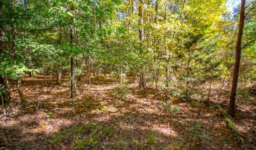 Photo #11 of SOLD property in Off Blanks Lane, Emporia, VA 20.2 acres