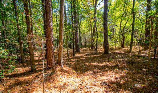 Photo #12 of SOLD property in Off Blanks Lane, Emporia, VA 20.2 acres