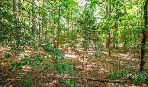 Photo #13 of SOLD property in Off Blanks Lane, Emporia, VA 20.2 acres