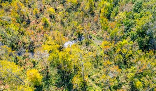 Photo #14 of SOLD property in Off Blanks Lane, Emporia, VA 20.2 acres