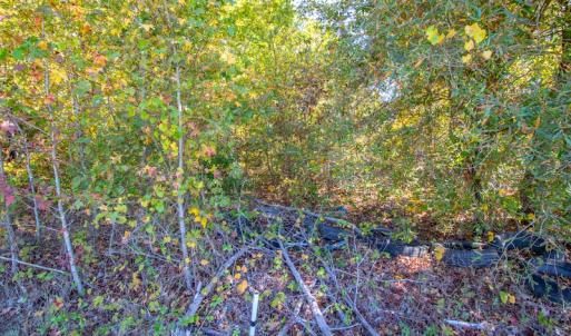 Photo #8 of SOLD property in Off Blanks Lane, Emporia, VA 20.2 acres