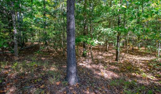 Photo #9 of SOLD property in Off Blanks Lane, Emporia, VA 20.2 acres