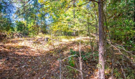 Photo #10 of SOLD property in Off Blanks Lane, Emporia, VA 20.2 acres