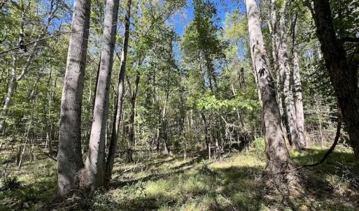 Photo #13 of SOLD property in Off Simms Bridge Road, Kittrell, NC 2.4 acres
