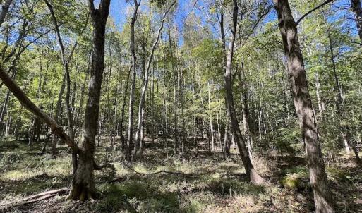 Photo #15 of SOLD property in Off Simms Bridge Road, Kittrell, NC 2.4 acres