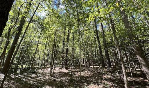 Photo #16 of SOLD property in Off Simms Bridge Road, Kittrell, NC 2.4 acres