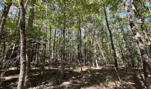 Photo #17 of SOLD property in Off Simms Bridge Road, Kittrell, NC 2.4 acres