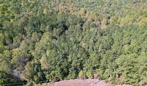 Photo #3 of SOLD property in Off Simms Bridge Road, Kittrell, NC 2.4 acres