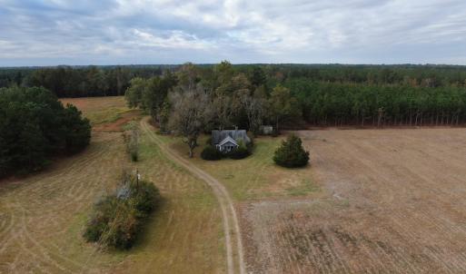 Photo #6 of SOLD property in 755 Racetrack Road, Nichols, SC 125.0 acres
