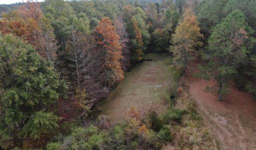Photo #9 of SOLD property in 755 Racetrack Road, Nichols, SC 125.0 acres