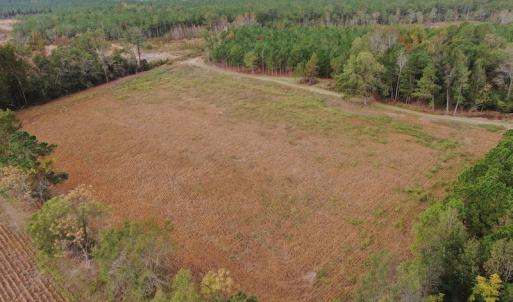Photo #3 of SOLD property in 755 Racetrack Road, Nichols, SC 125.0 acres