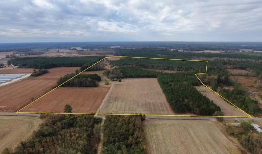 Photo #2 of SOLD property in 755 Racetrack Road, Nichols, SC 125.0 acres