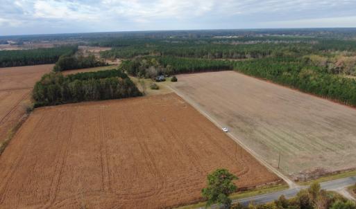 Photo #4 of SOLD property in 755 Racetrack Road, Nichols, SC 125.0 acres