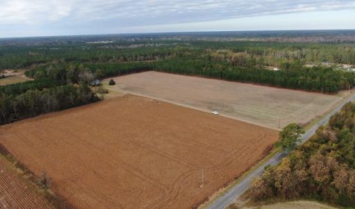 Photo #5 of SOLD property in 755 Racetrack Road, Nichols, SC 125.0 acres