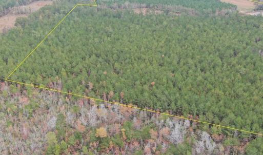 Photo #10 of SOLD property in 755 Racetrack Road, Nichols, SC 125.0 acres