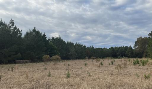 Photo #16 of SOLD property in 755 Racetrack Road, Nichols, SC 125.0 acres