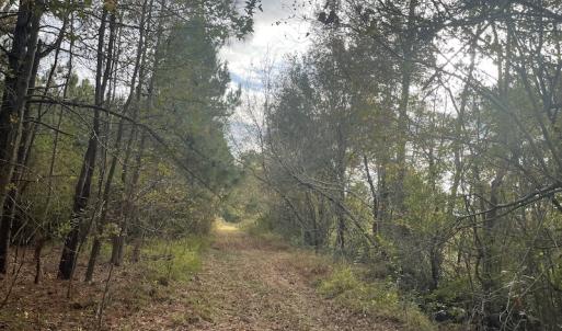 Photo #18 of SOLD property in 755 Racetrack Road, Nichols, SC 125.0 acres