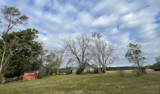Photo #20 of SOLD property in 755 Racetrack Road, Nichols, SC 125.0 acres