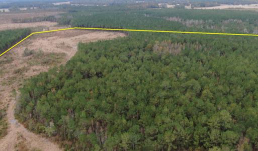 Photo #11 of SOLD property in 755 Racetrack Road, Nichols, SC 125.0 acres