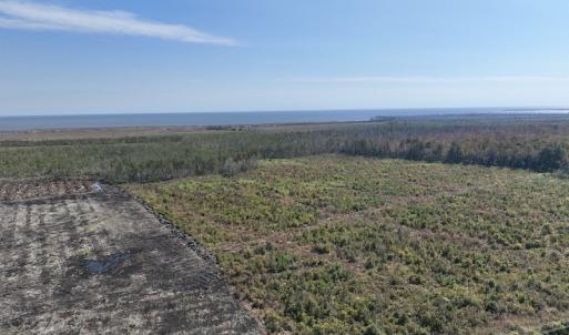 Photo #11 of SOLD property in Off US 264, Engelhard, NC 500.0 acres