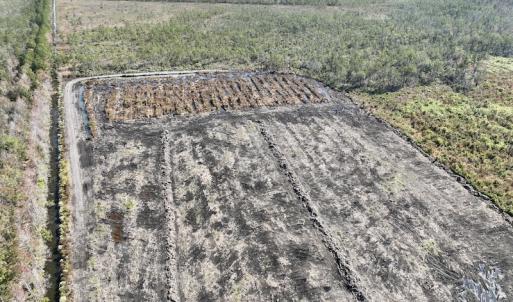 Photo #12 of SOLD property in Off US 264, Engelhard, NC 500.0 acres
